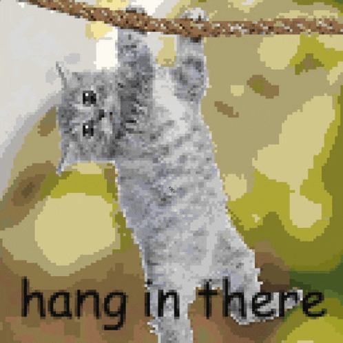 a pixelated image of a cat hanging from a rope with the words hang in there below it