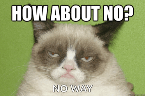 a grumpy cat with the words how about no no way below it