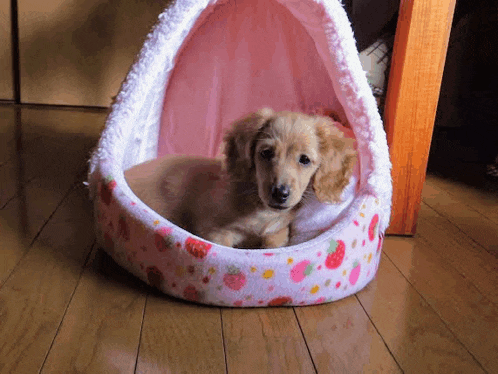 a small dog laying in a pink and white dog bed