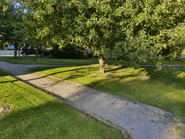 a gravel path winds through a grassy area with trees