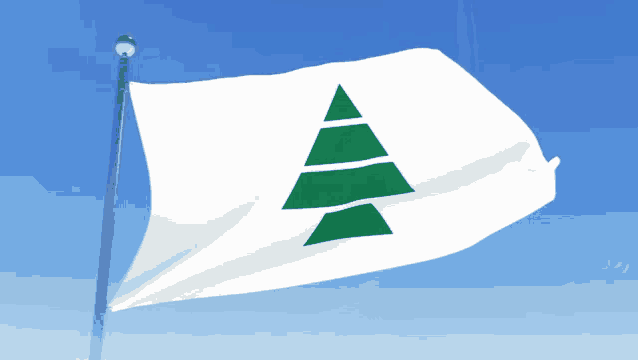 a white flag with green triangles on it