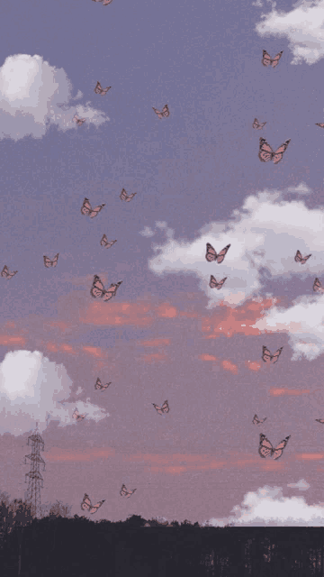 a bunch of butterflies are flying in a cloudy sky