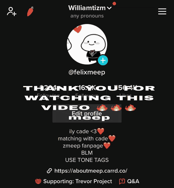 williamtizm any pronouns thank you for watching this video edit profile meep use tone tags supporting trevor project q & a