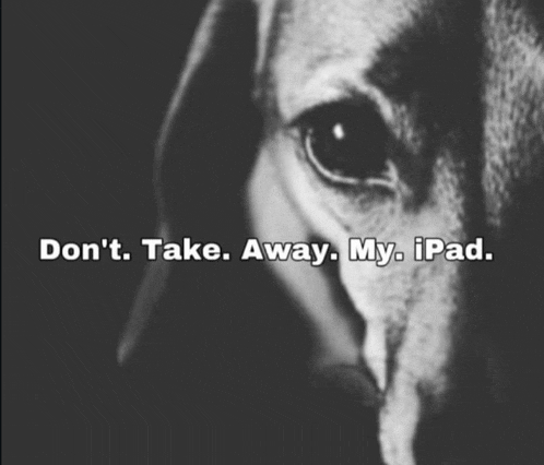 a black and white photo of a dog with the words " don 't take away my ipad "