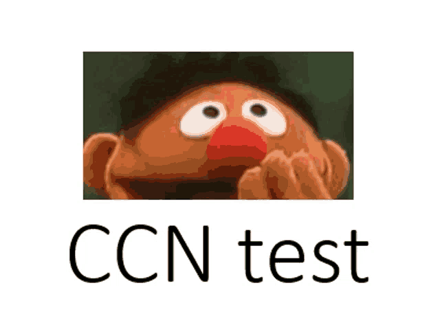 a picture of ernie from sesame street with the words ccn test written below it .