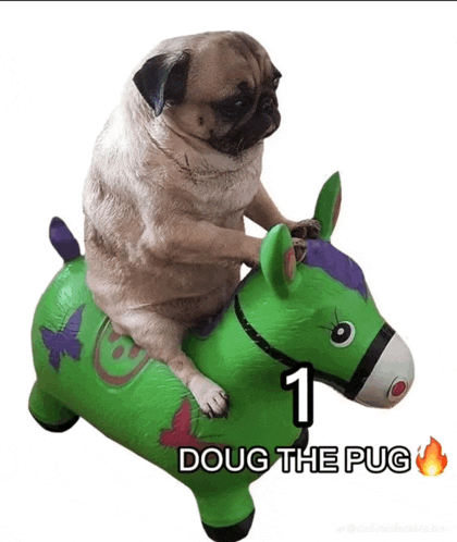 a pug dog is riding a green bouncy horse with the words doug the pug below it