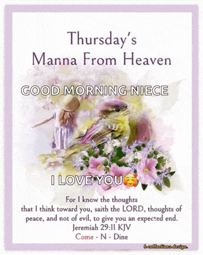 thursday 's manna from heaven good morning niece for i know the thoughts that i think toward you saith the lord