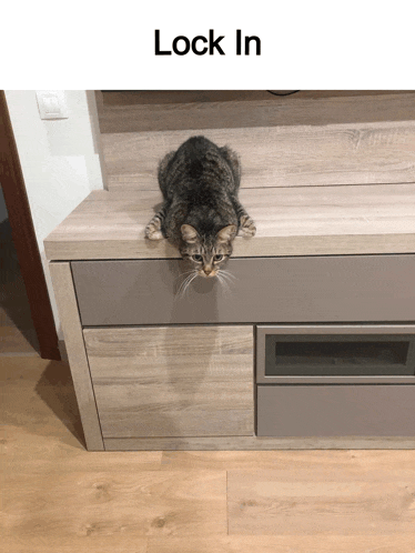 a cat is laying on top of a wooden dresser with the words lock in below it