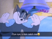 a picture of tom and jerry with a caption that says " oya oya u don catch me "