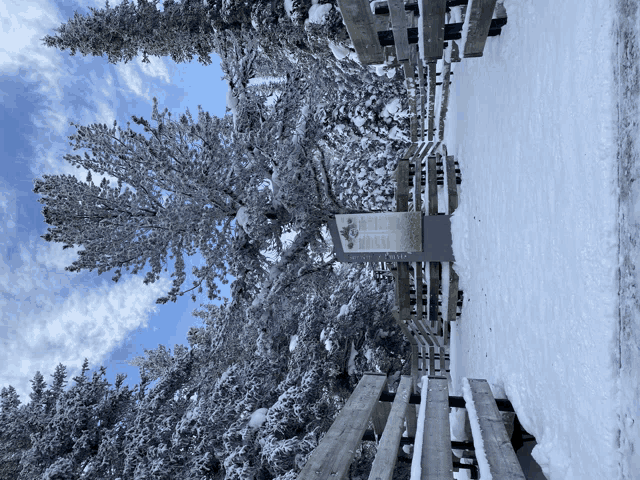 a snowy forest with a wooden fence and a sign in the foreground that says ' wildlife refuge '