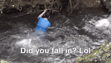 a man in a blue shirt is swimming in a river with the words " did you fall in lol " above him