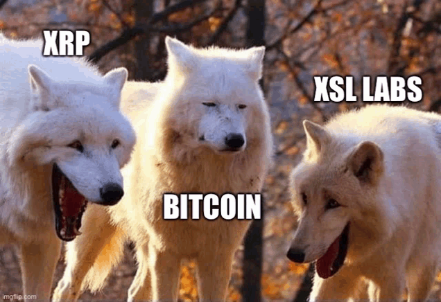 Xsl Xsl Labs Meme