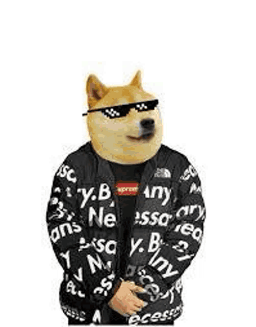 a dog wearing a supreme jacket and sunglasses is standing on a white background .