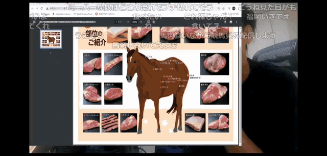 a computer screen shows a horse with different cuts of meat