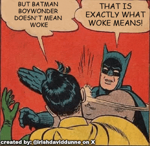 a comic strip with batman and robin talking about woke