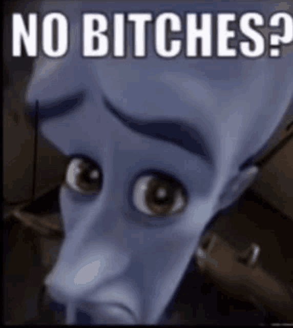 a cartoon character with a sad look on his face and the words `` no bitches '' written on it .