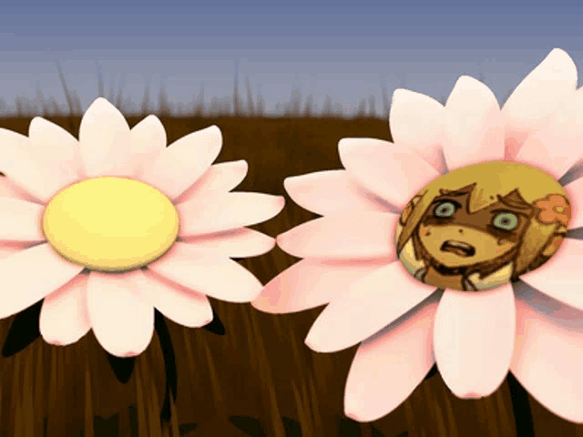 two daisies with a girl 's face on them in a field