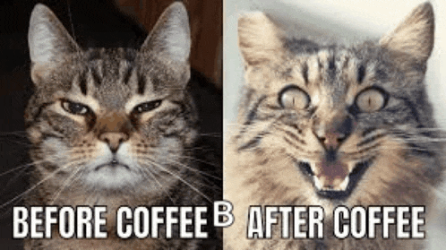 a before and after picture of a cat before and after drinking coffee .