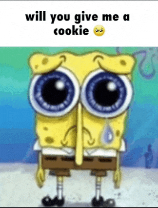 spongebob is crying and asking for a cookie .