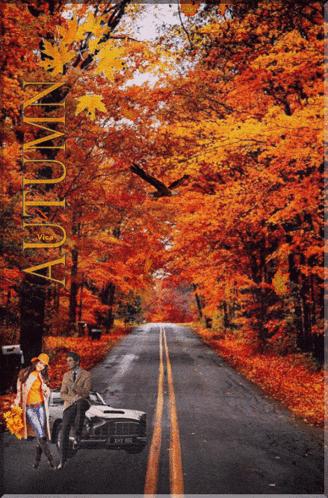 a man sits in a car next to a woman on a road with the word autumn on the bottom