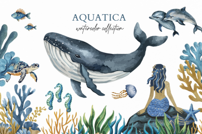 Aquatica