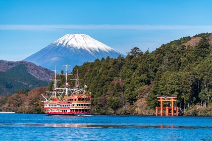 Mt Fuji and Hakone 1-Day Tour Return by Bullet Train