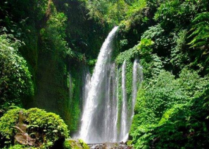 Jelajahi Keindahan Tersembunyi Air Terjun Way Tayas di Lampung Selatan