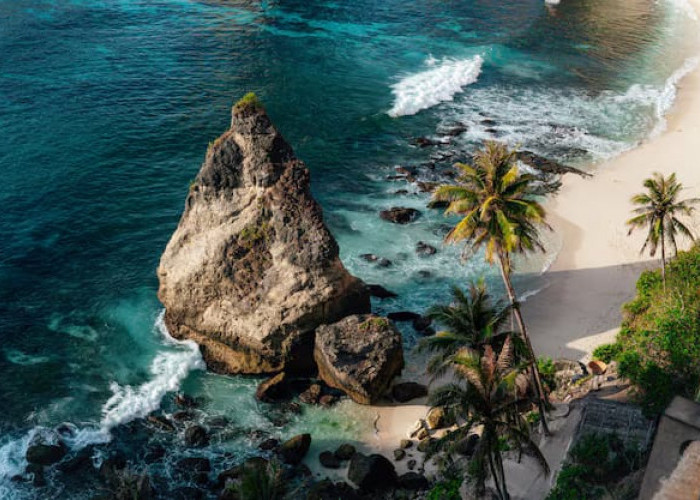 Keindahan Pantai dan Keanekaragaman Hayati di Pesisir Lampung