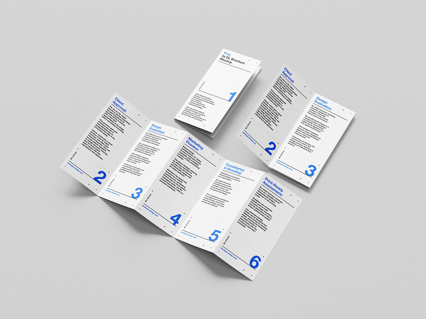 Free five pages DL flyer mockup :: Behance