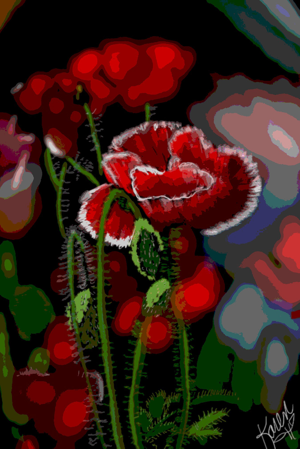 Digital Art  digital painting Drawing  Flowers ILLUSTRATION  poppies