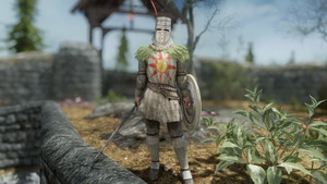 Sunlight Warrior Armor