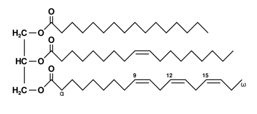 Triglyceride.PNG