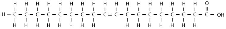 omega9-long.jpg