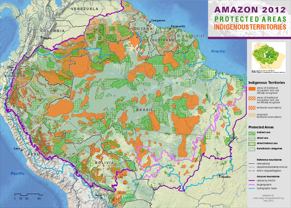 Charts And Graphs About The Amazon Rainforest