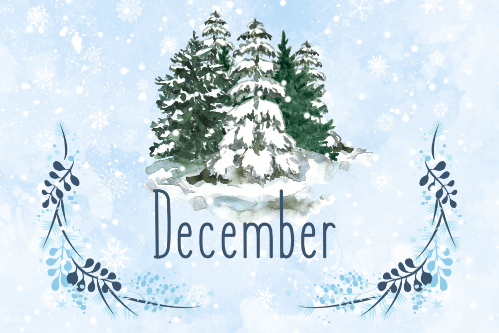 December Newsletter