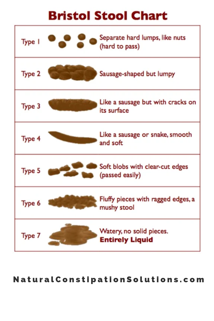 Bristol Stool Chart Kids