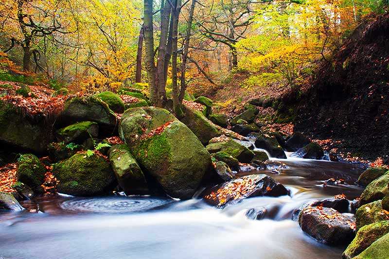 Padley Gorge