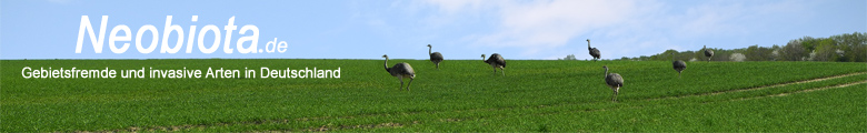 Neobiota - Gebietsfremde und Invasive Arten in Deutschland