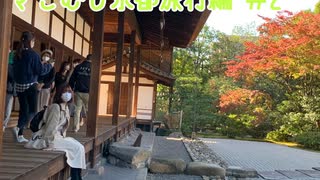 【限定】京都旅行 嵐山と伏見稲荷に行くよ(＊｀ω´＊)Part2