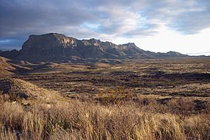 Archivo:Big Bend Chihuahuan Desert