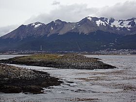 Bahía Ushuaia 68