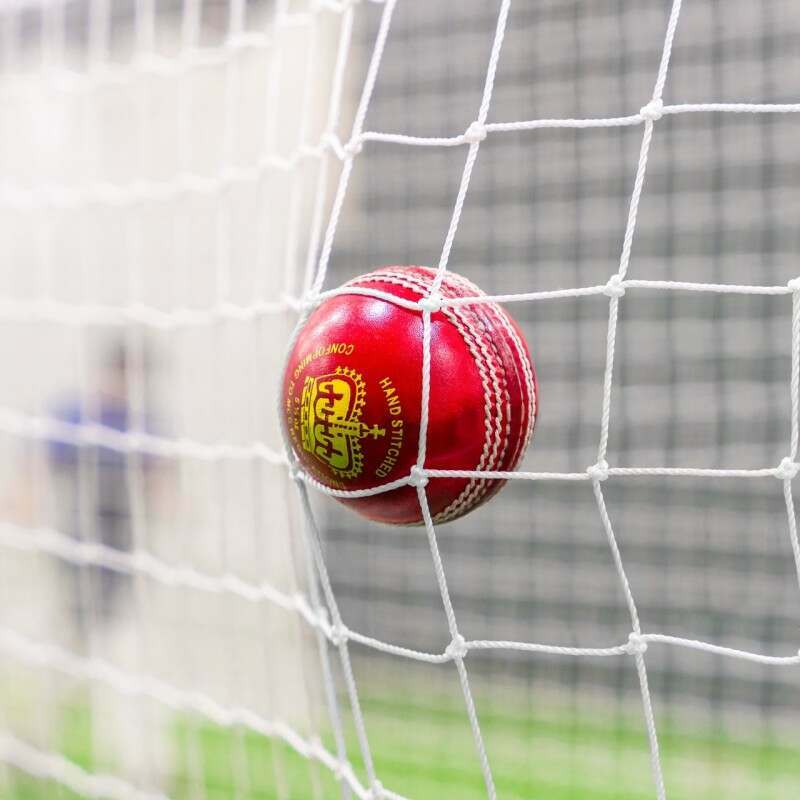 Cricket ball hitting a cricket net