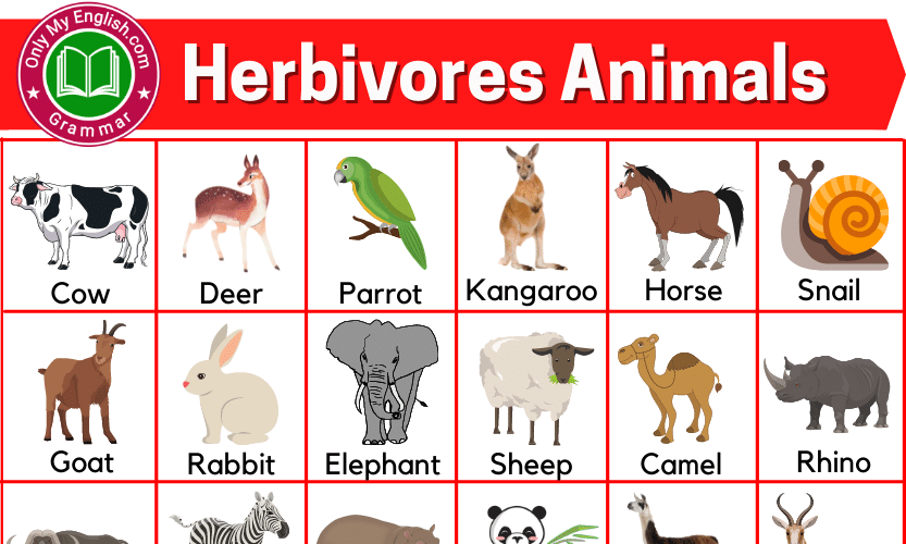 Herbivores Images With Names