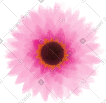 Flower PNG, SVG