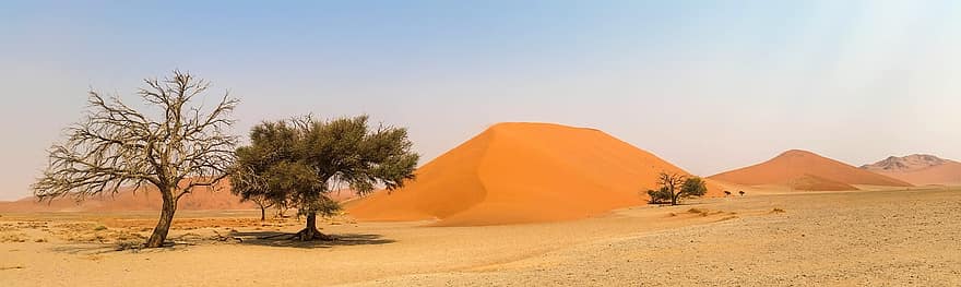 Afrika, namibia, pemandangan, gurun namib, gurun, bukit pasir, kering, pasir, berpasir, heiss, alam