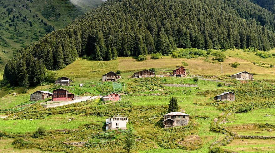 östra svarta havet, Rize, Ayder, platåer, kaçkars, natur, grön, skog, fred, bergen, landskap