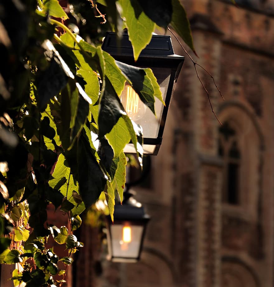 lanterne, église, feuilles de vigne, lumière, ruelle, historiquement, centre historique, façade, bâtiment, lampe, éclairage