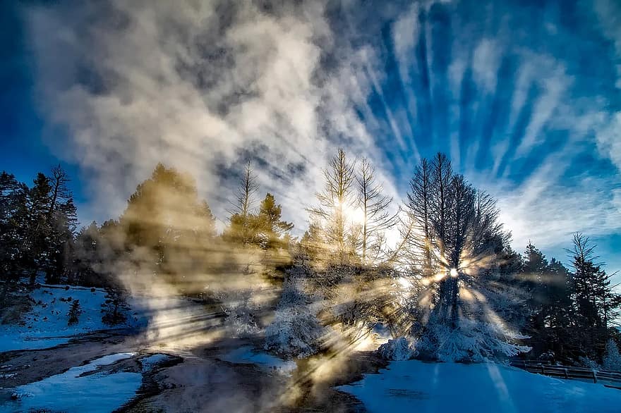 raios solares, raios de sol, Yellowstone, Parque Nacional, Parque nacional Yellowstone, inverno, floresta, arvores, madeiras, Dom, brilhando através