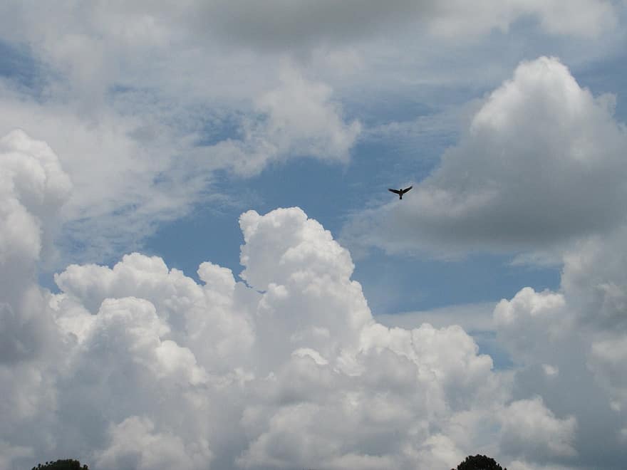 clouds, sky, environment, cloudscape, fluffy, high, outdoors, climate, heaven, heavens, meteorology