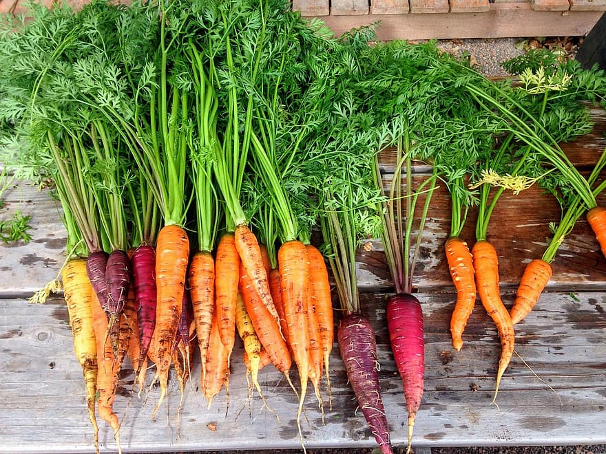 morot, morötter, producera, mat, vegetabiliska, färsk, hälsosam, organisk, orange, rot, vegetarian